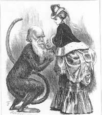 Charles Darwin caricature